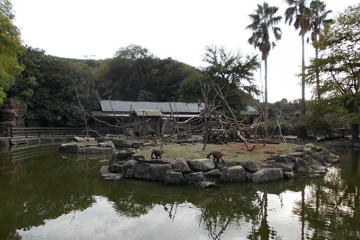 บ่อคาพิบาราและเกาะลิงคาปูชินในนางาซากิไบโอพาร์ค