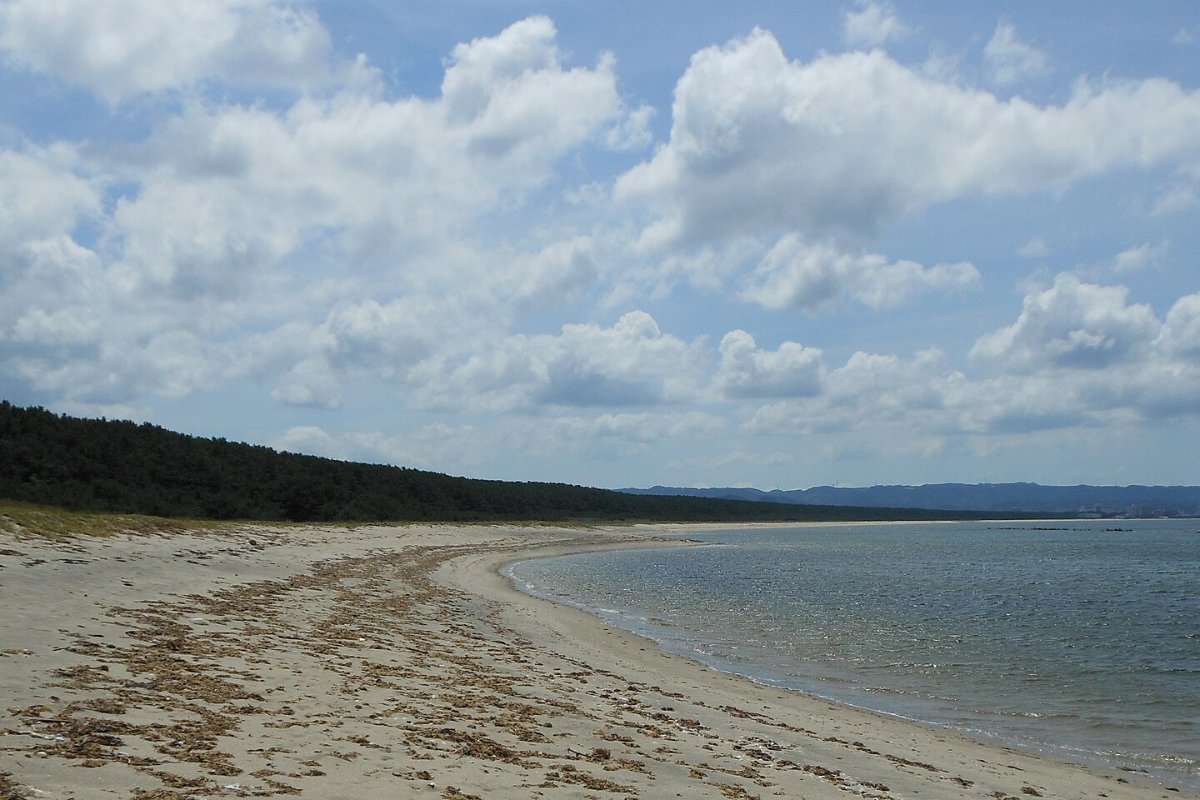 ชายหาดและแนวสนนิจิโนะมัตสึบาระ