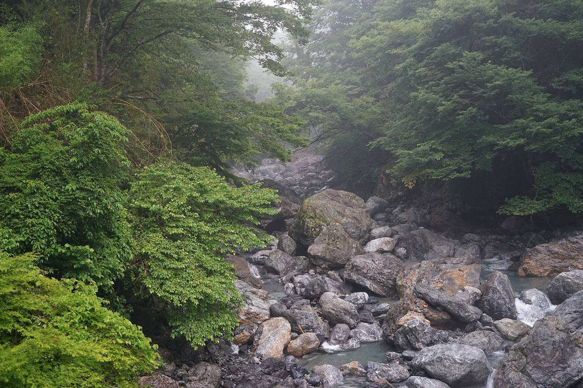 ลำธารใสในหุบเขานิชิคุมะ เมืองคามิ จังหวัดโคจิ