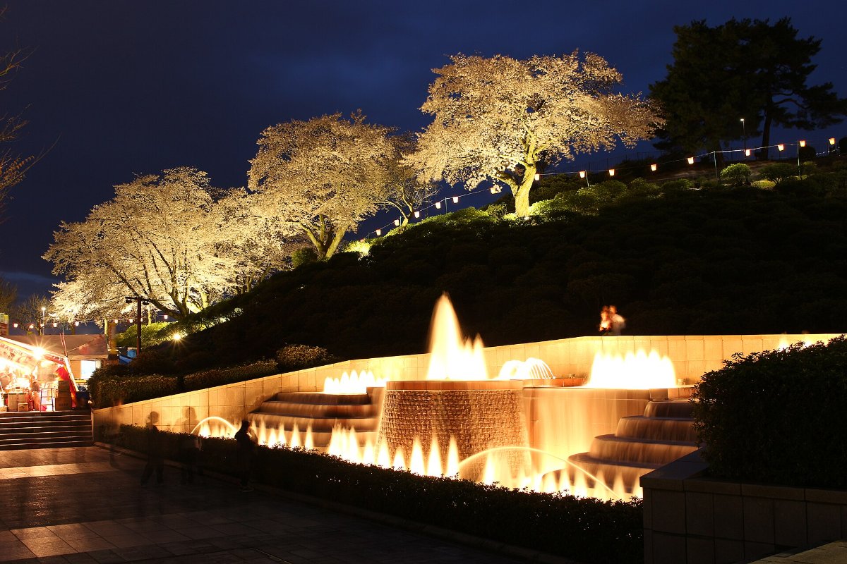 ไฟประดับยามค่ำคืนที่สวนนิชิยามะ เมืองซาบาเอะ จังหวัดฟุกุอิ