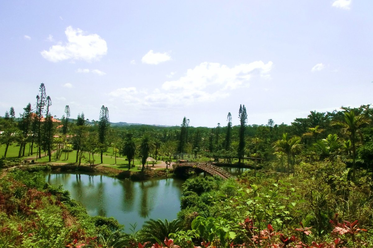สวนพฤกษศาสตร์โทนัน เมืองโอกินาว่า