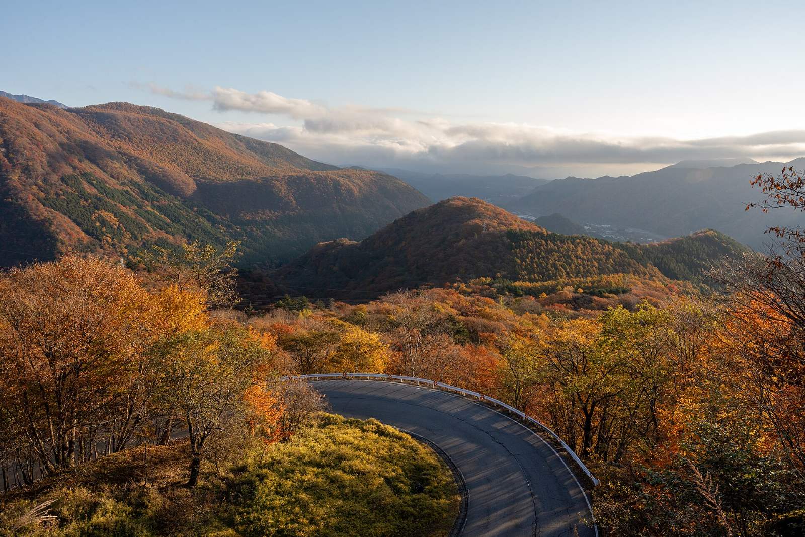 ใบไม้แดงโทจิงิ