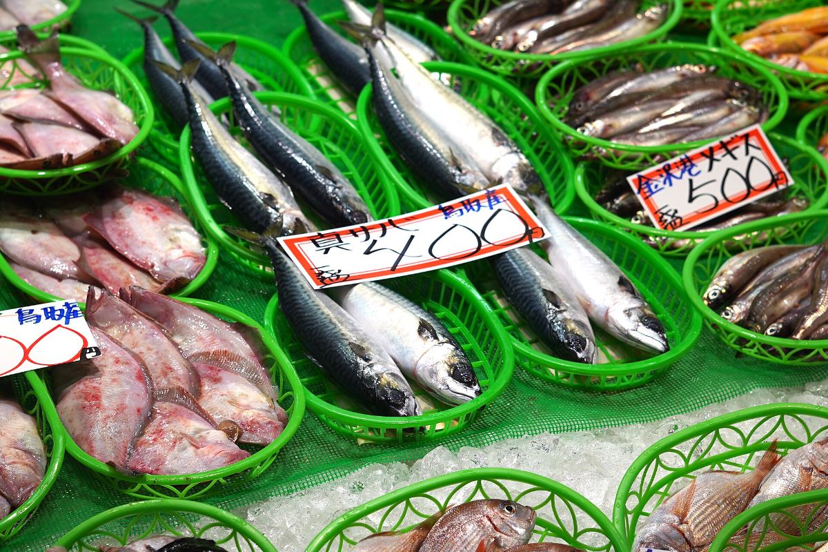 ปลาสดวางขายในตลาดโอมิโจ