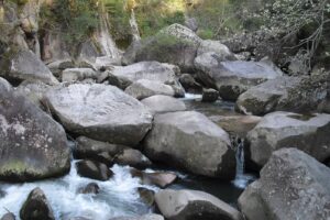 โอนิโนะชิตะบุรุอิ