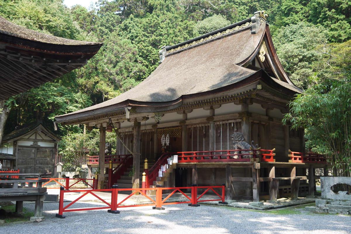ทางเดินในป่าเขียวไปยังอาคารศาลเจ้า ศาลเจ้าฮิโยชิไทฉะ ย่านซากาโมโตะ เมืองโอตสึ ชิงะ