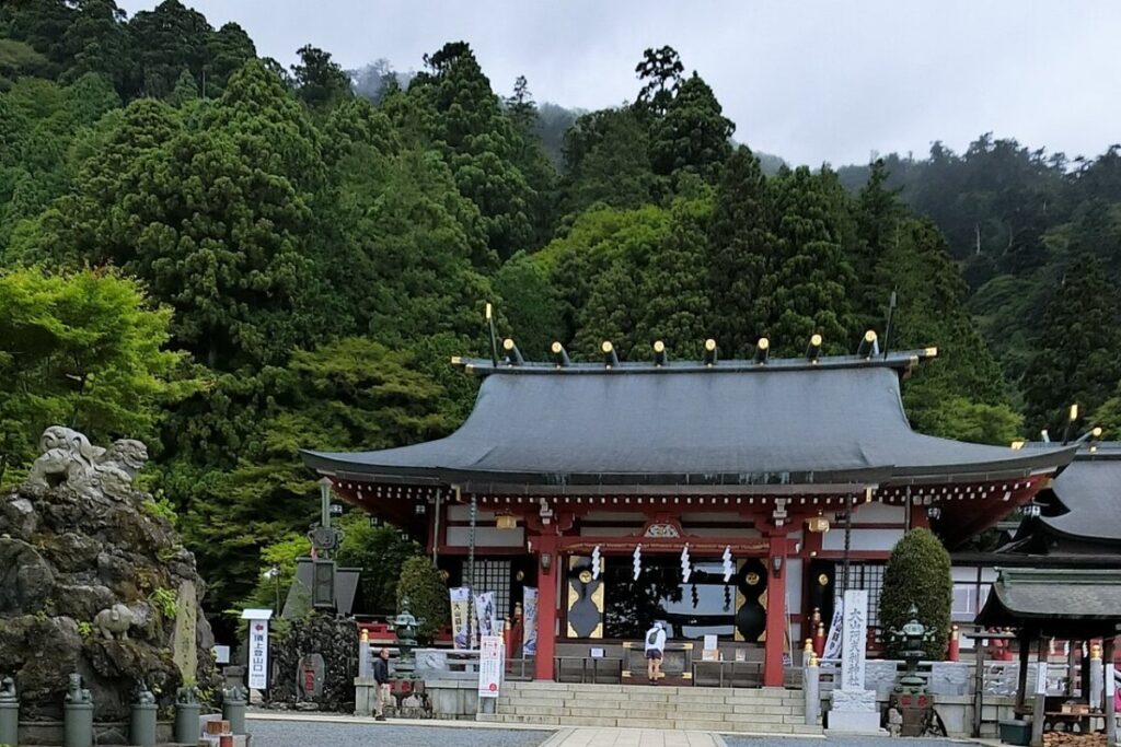 ภูเขาโอยามะ อิเซฮาระ｜อุโมงค์เมเปิลและไลต์อัป