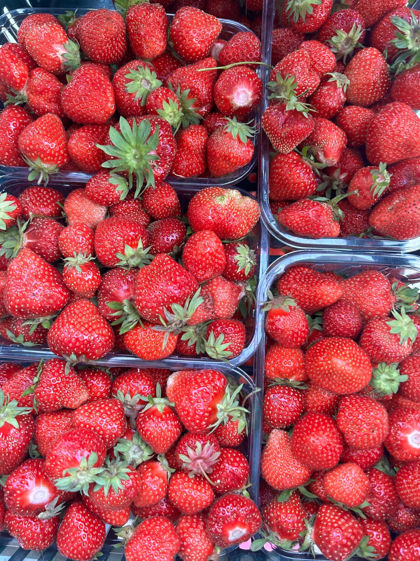 ภาพประกอบ: สตรอว์เบอร์รีในกล่อง ไม่ใช่สินค้าจริงของ Yamada Mitsubachi Farm