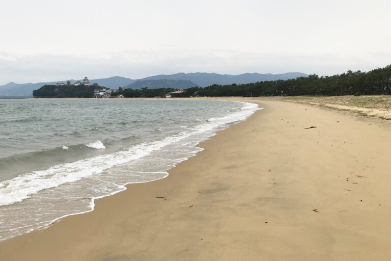 ชายหาดซากะ