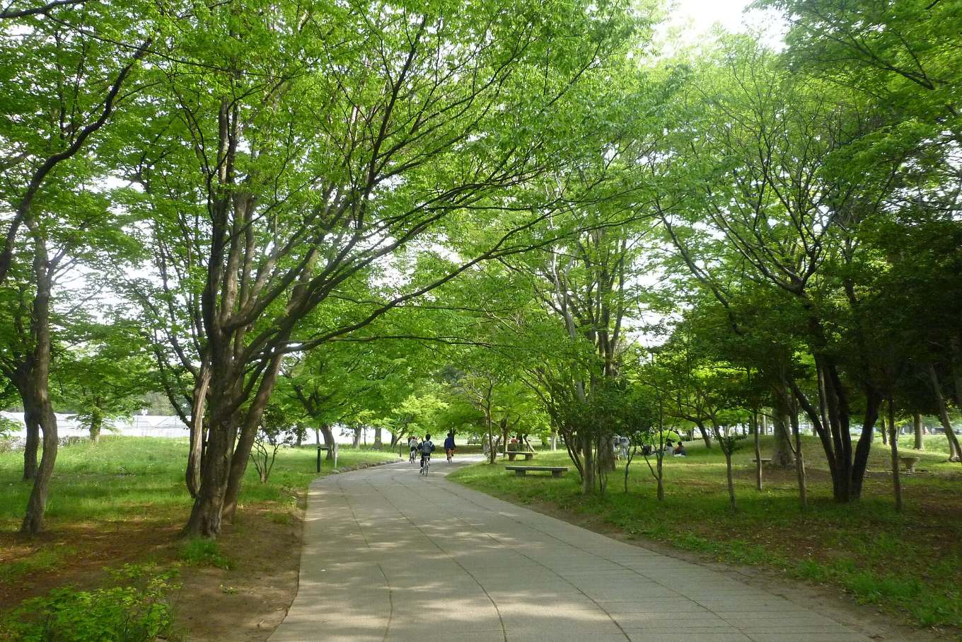 ทางเดินและเนินสุสานโบราณในสวนซากิตามะ