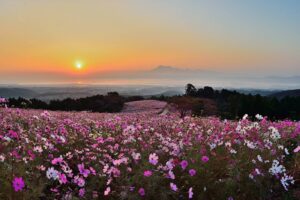 ที่ราบสูงชิรากิมิเนะ