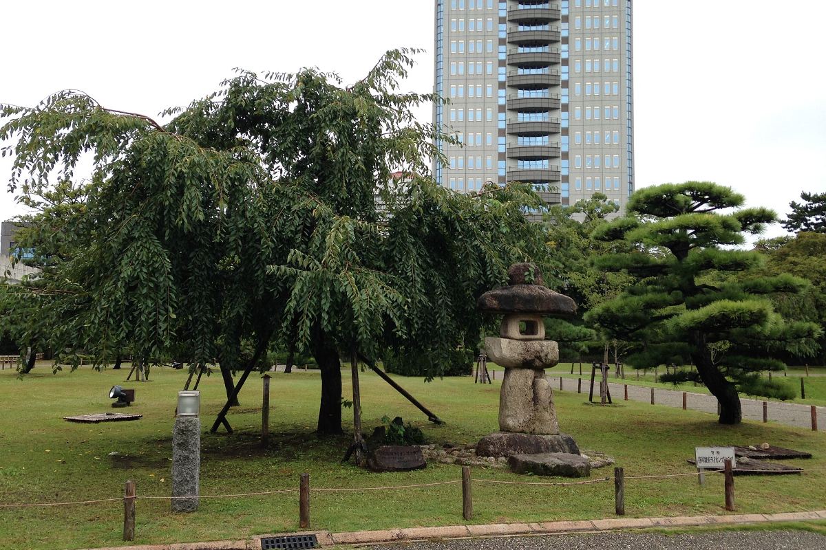 ซากุระและคูน้ำที่สวนปราสาทซุนปุ เมืองชิซุโอกะ