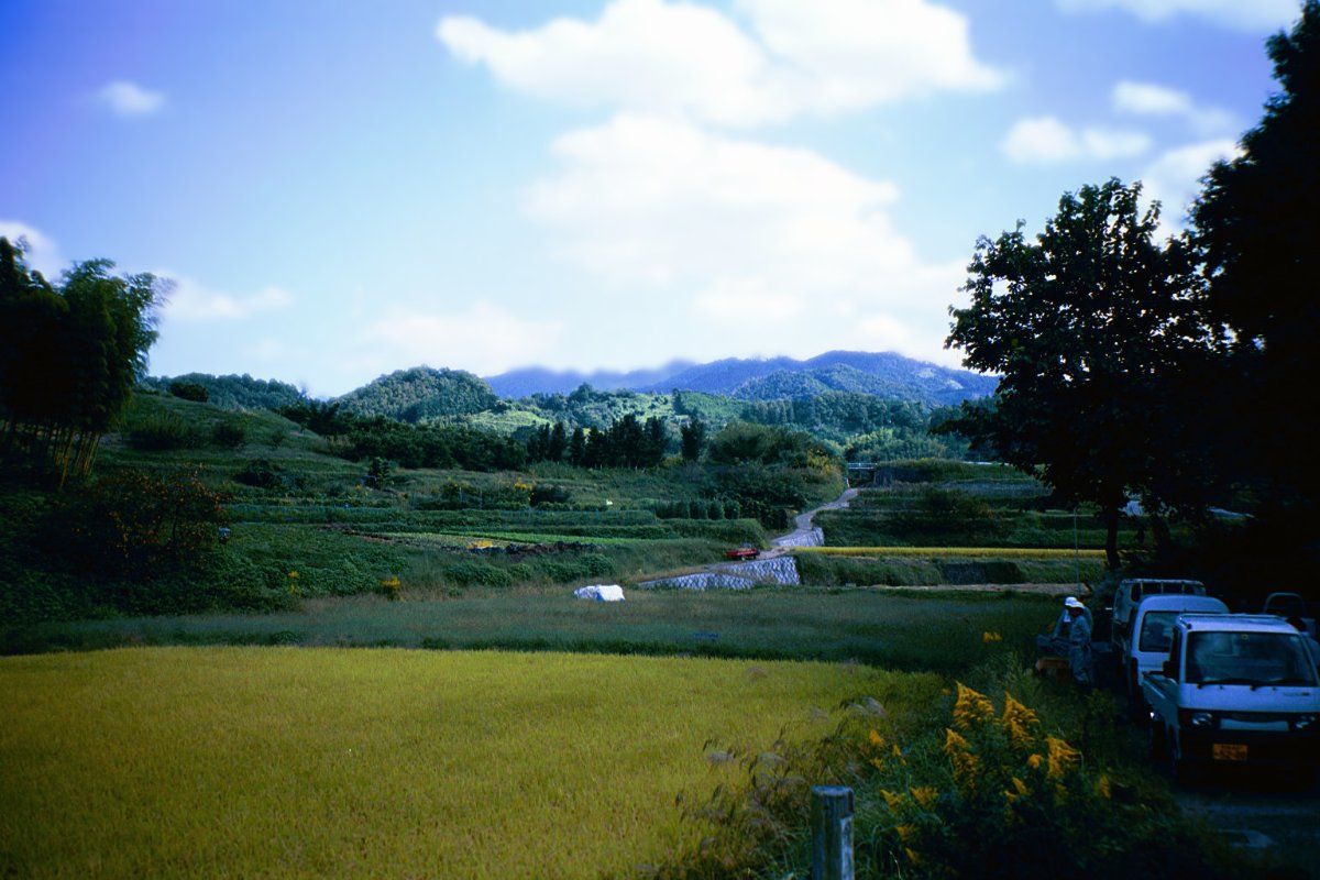 ทิวทัศน์นาข้าวและภูเขาในหมู่บ้านอาสุกะ