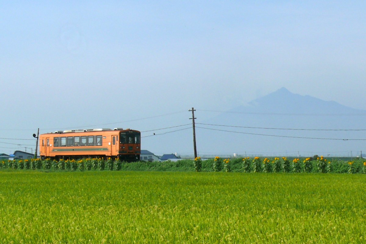 รถไฟสึการุสีส้มกับภูเขาอิวากิ