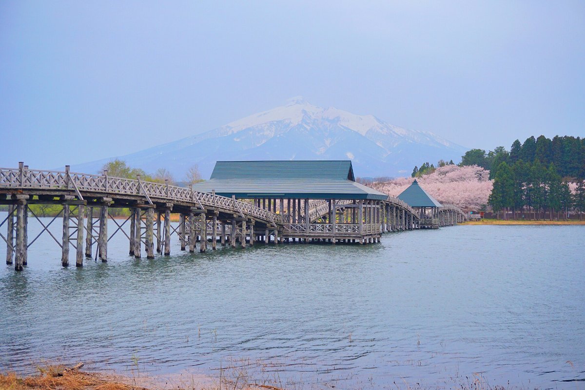 สะพานไม้โค้งสามช่วงเหนือทะเลสาบฟูจิมิโกะ