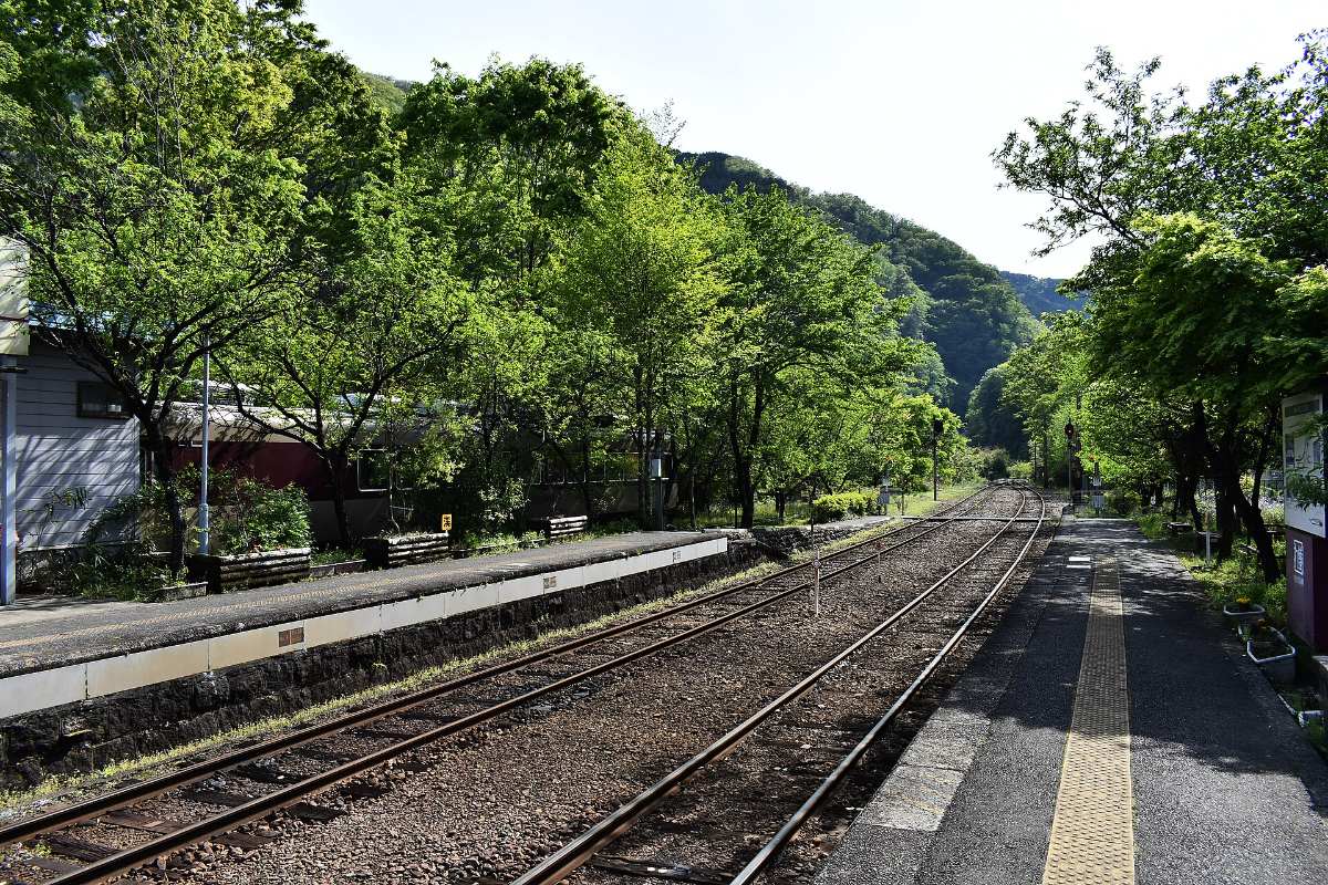 รางรถไฟผ่านหุบเขาเขียวขจี